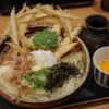【福岡旅】移動日に堪能した「大地のうどん」「Shin Shin」